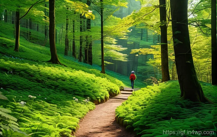 아웃도어 테라피의 기초 강의 - **Prompt 1: Serene Forest Bathing on a Sun-Dappled Path**
    A person, viewed from a slightly eleva...