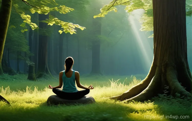 아웃도어 테라피의 기초 강의 - **Prompt 1: Serene Forest Bathing on a Sun-Dappled Path**
    A person, viewed from a slightly eleva...