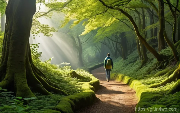 아웃도어 테라피와 생태계 보존 - A person, fully clothed in comfortable hiking attire, walks peacefully along a winding forest path b...
