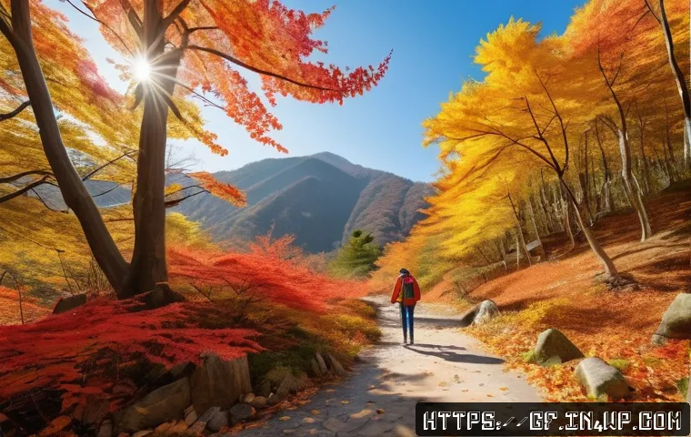 아웃도어 테라피와 긍정적 사고 관련 이미지 1