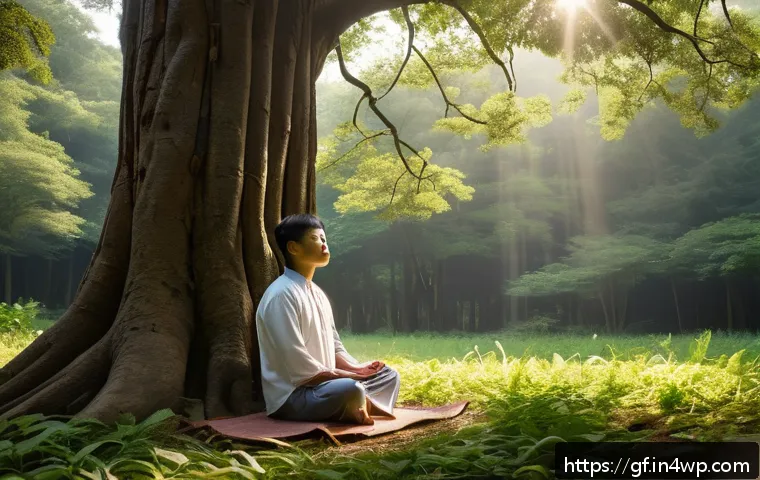 아웃도어 테라피와 지속 가능한 삶 관련 이미지 1